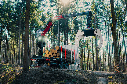 PALFINGER EPSILON Kran